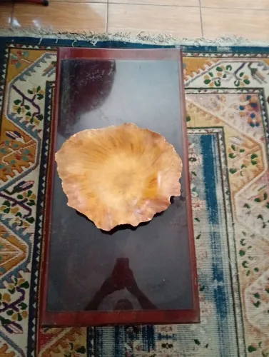 Mesa de centro rústica com vidro