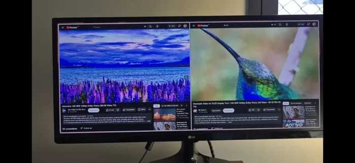 Monitor LG UltraWide 25" 21:9 Full HD IPS (25UM58)