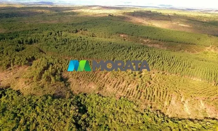 FAZENDA À VENDA - 220 HECTARES - BALDIM (MG)