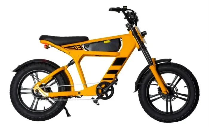 bicicleta elétrica