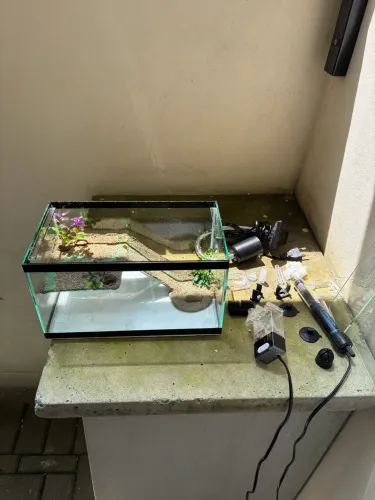 Aquaterrario para tartarugas + acessórios