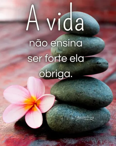 Diarista e folguista