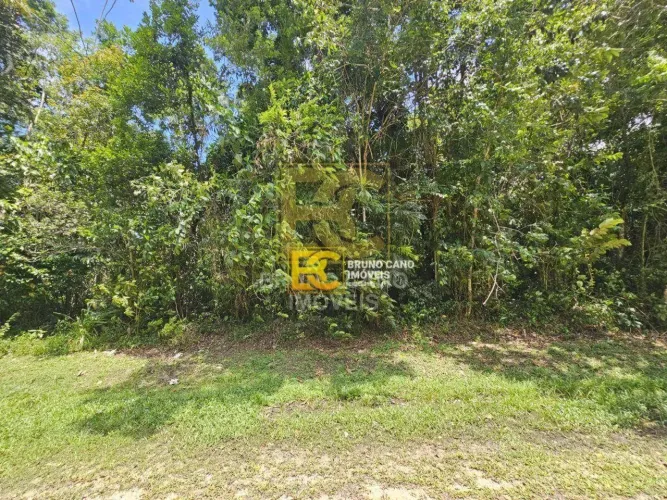 Terreno à venda, 1000 m² por R$ 230.000,00 - Condomínio Residencial São Marcos - Peruíbe/S