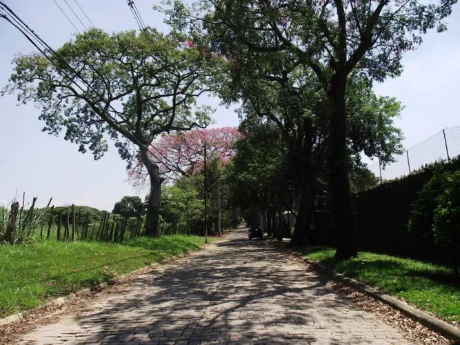 Terreno residencial à venda, Reserva do Vianna, Cotia - TE0514.