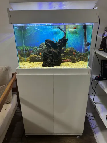 Aquario 70L completo!