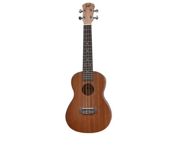 Ukulele Concert Winner 