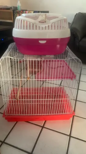Gaiola Para calopsita e passaros menores, mais casa para transporte