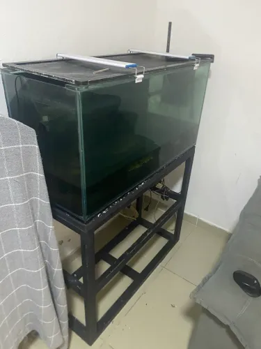 Aquário