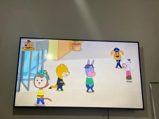 Televisao