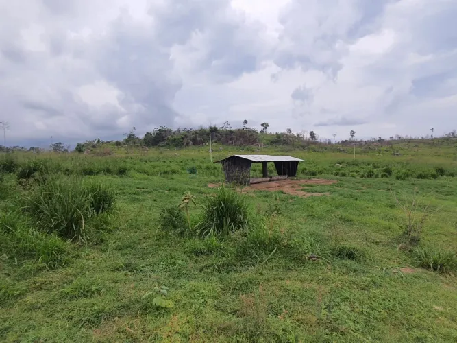Vendo!!! Uma fazenda de 726 hectares na região da cidade de Apiacás/MT