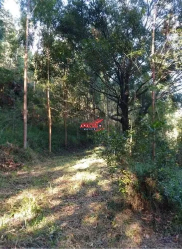 Terreno para venda, no bairro Pedra Menina em Dores do Rio Preto - ES.