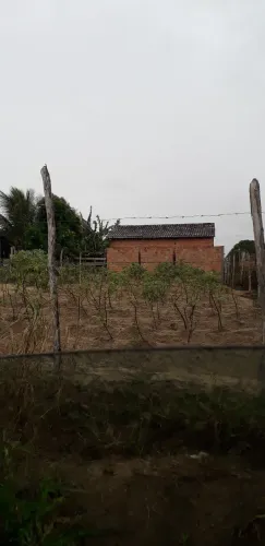 Terreno em Taquarana