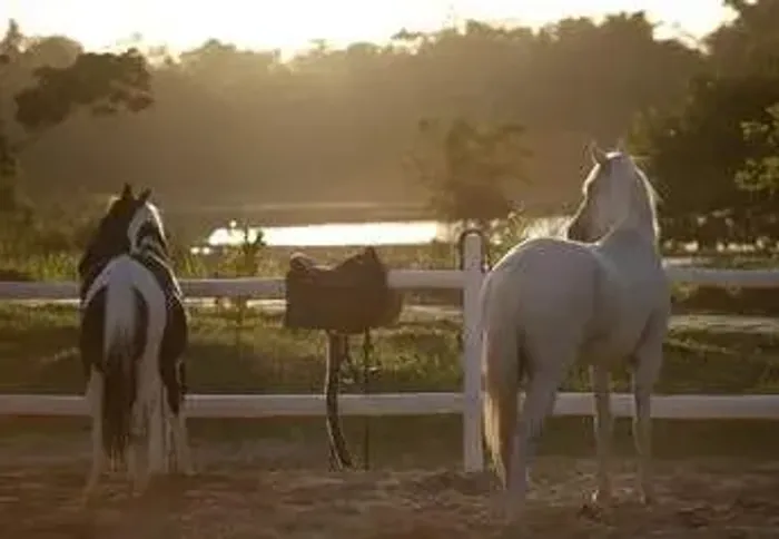 Lote à venda no FAZENDA REAL RESIDENCE , LOTEAMENTO RECANTO DOS EUCALIPTOS, Simões Filho,