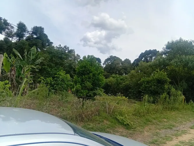 Terreno em Antônio olinto