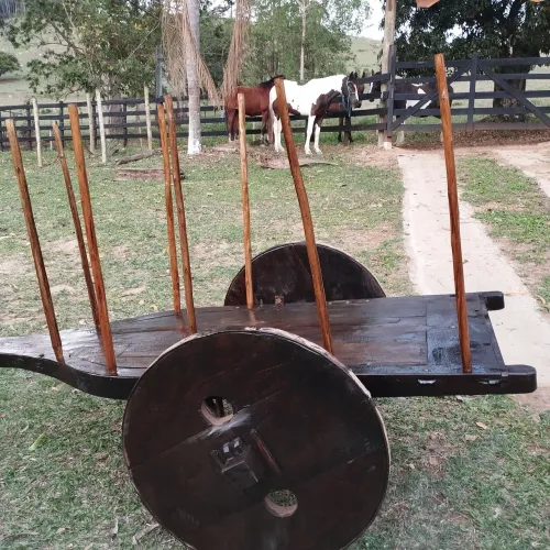 Carro de boi pequeno novo