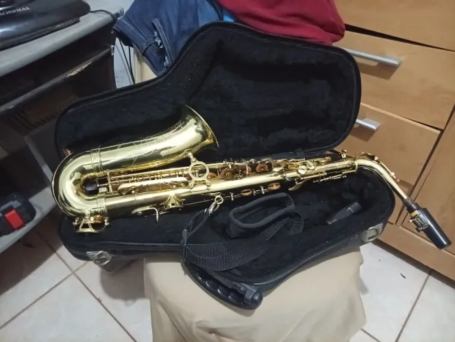 Sax alto Steusart filé vendo/troco .