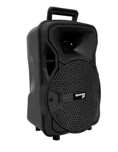 CAIXA SOUNDVOICE CA80