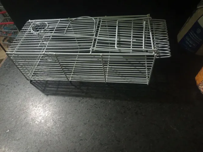 Armadilha de pega ratos de todos os tamanhos