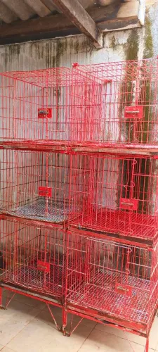 Gaiola pra banho e tosa 6 lugares
