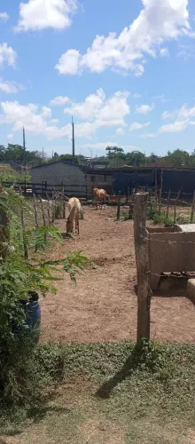 Vendo terreno no Santa Cecília 