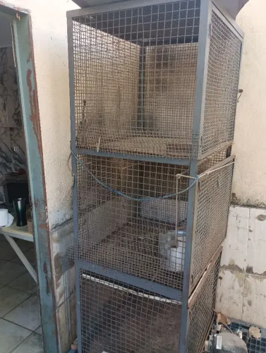 Vendo viveiro
