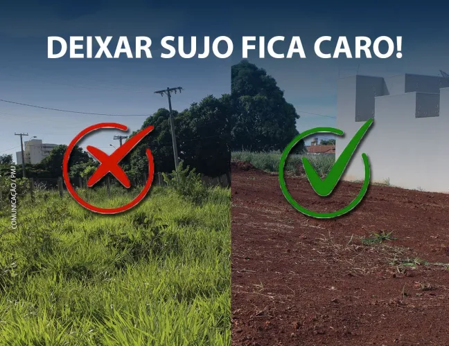Jardinagem e Limpeza de terreno