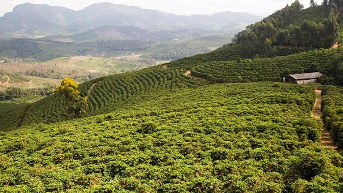 Terreno em Santa Teresa