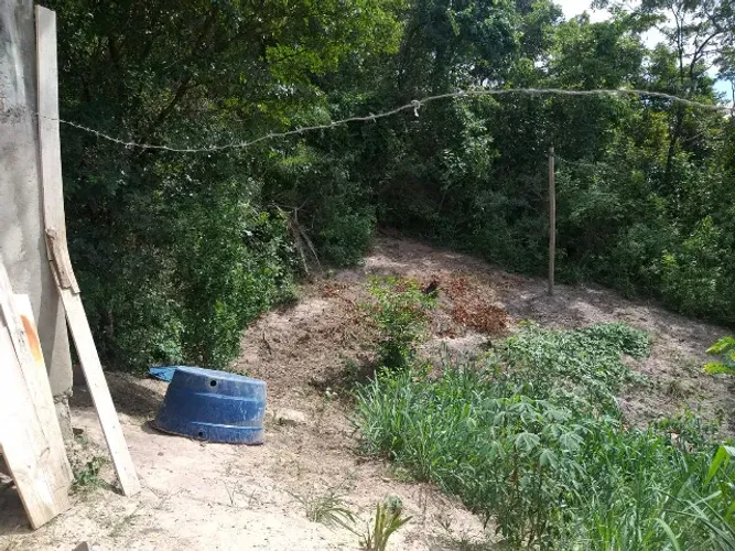 Vianópolis - Lote -  R$ 60.000,00