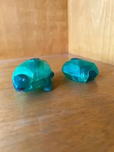Tartaruga Rock Animal
