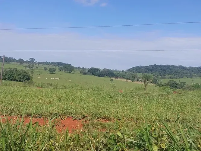 Fazenda de 46 alqueires em Claudinapolis-GO