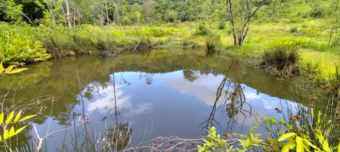 Sítio 2 hectares em Rolante RS Açude Potreiro Área Verde Tranquilidade Natureza