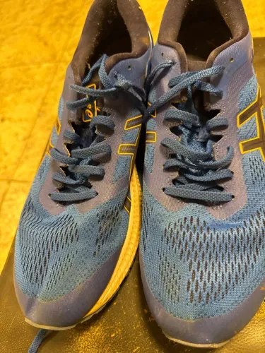 Tênis Asics Kayano 25 TAM 44