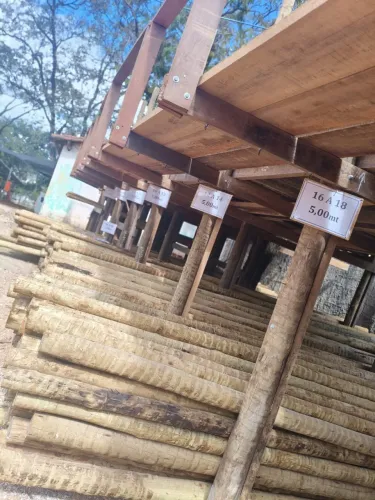 Eucalipto tratado roliço 16 A 18 com 5mts