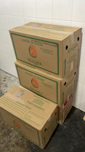 Caixas de papelão 3,50