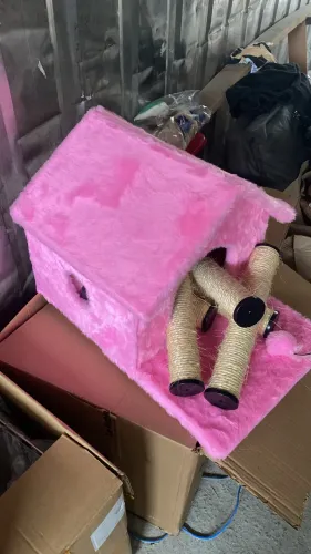 para gatos