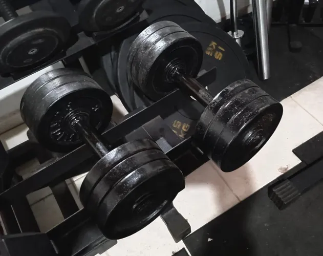 Halteres 20kg cada Dumbell