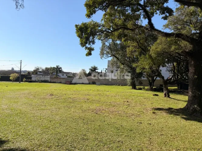 Terreno Comercial à Venda - Localização Estratégica na Rua Anita Garibaldi