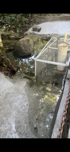 Sitio com terras raras