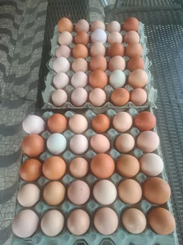 Ovos caipira