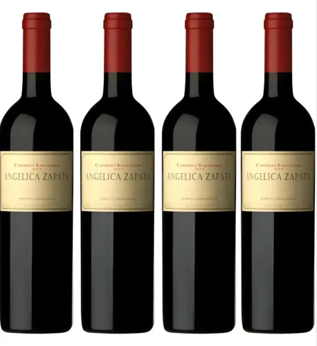 Vinho Argentino Angélica Zapata Malbec 04 Und