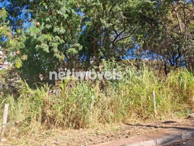 Excelente lote, em ótima localização no Santa Lúcia!