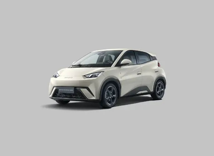 BYD Dolphin Mini (Elétrico) 2025