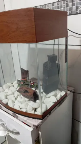 Aquário 45l completo