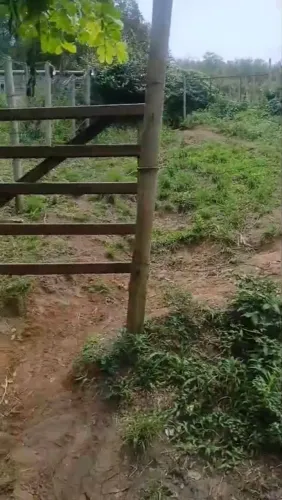 Terreno a venda em Campo Grande