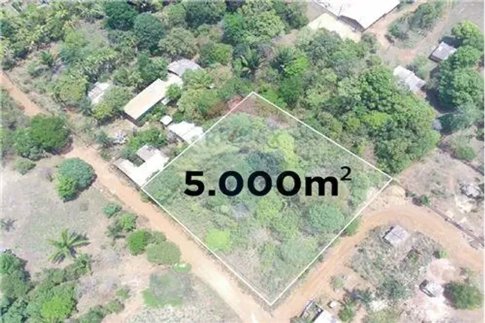 Propriedade de 5.016 m² com Rico Pomar e Localização Estratégica na BR-364