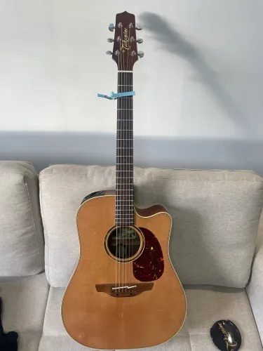 Takamine ETN10c