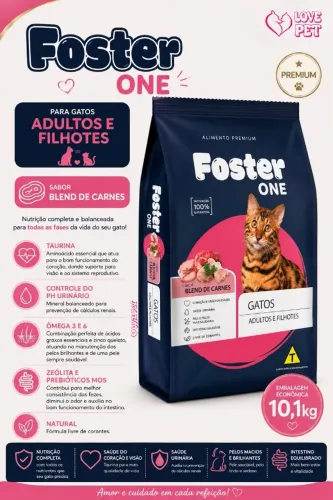 Foster Cat saco de 10kg 