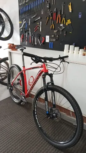 Specialized stumpjump