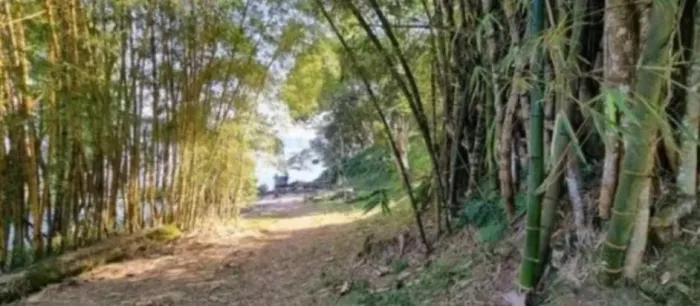 REFÚGIO MORAR PESCA 1.800M  SPU RIP ESCRITURADA NA ILHA DE PONTA GROSSA  BAIA DE ANTONINA 