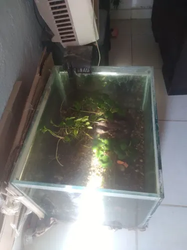Aquário 80L vidro temperado 8mm